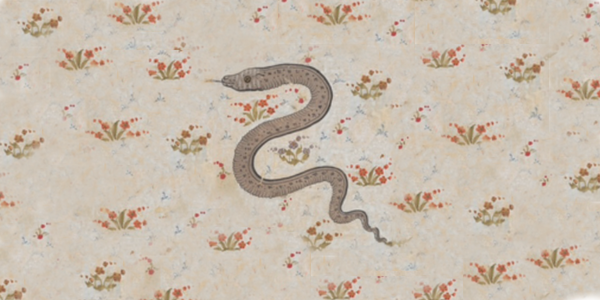 YEAR OF THE WOOD SNAKE